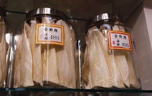 Vancouver councillor to bring shark fins to city hall | iNFOnews.ca CP20154801