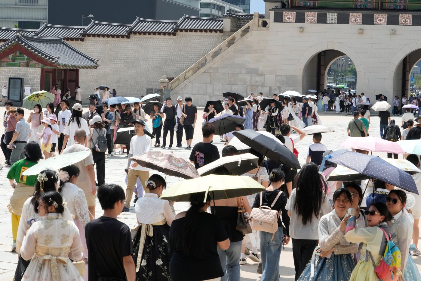 Record heat wave impacts people and animals in Japan and Korean Peninsula | iNFOnews.ca Record heat wave impacts people and animals in Japan and Korean Peninsula | iNFOnews.ca