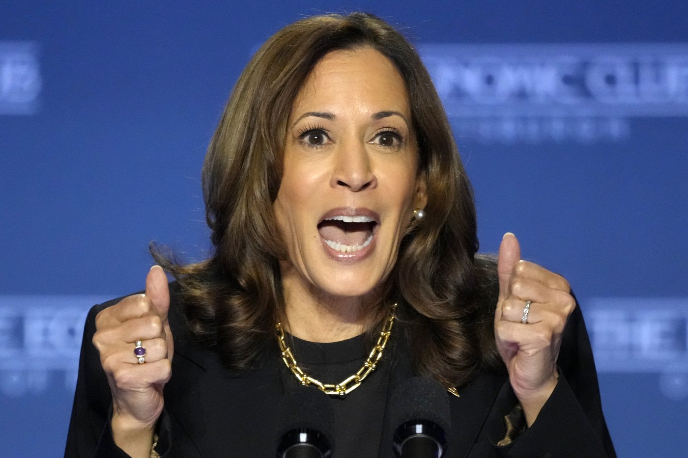Harris heads to the US-Mexico border to face down criticism of her record | iNFOnews.ca