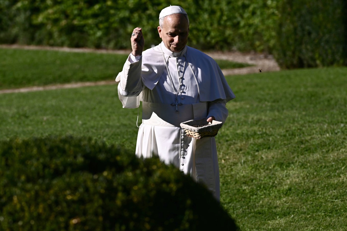 Pope feeds fish as he opens Vatican's ambitious model of sustainable farming and education | iNFOnews.ca Pope feeds fish as he opens Vatican's ambitious model of sustainable farming and education | iNFOnews.ca