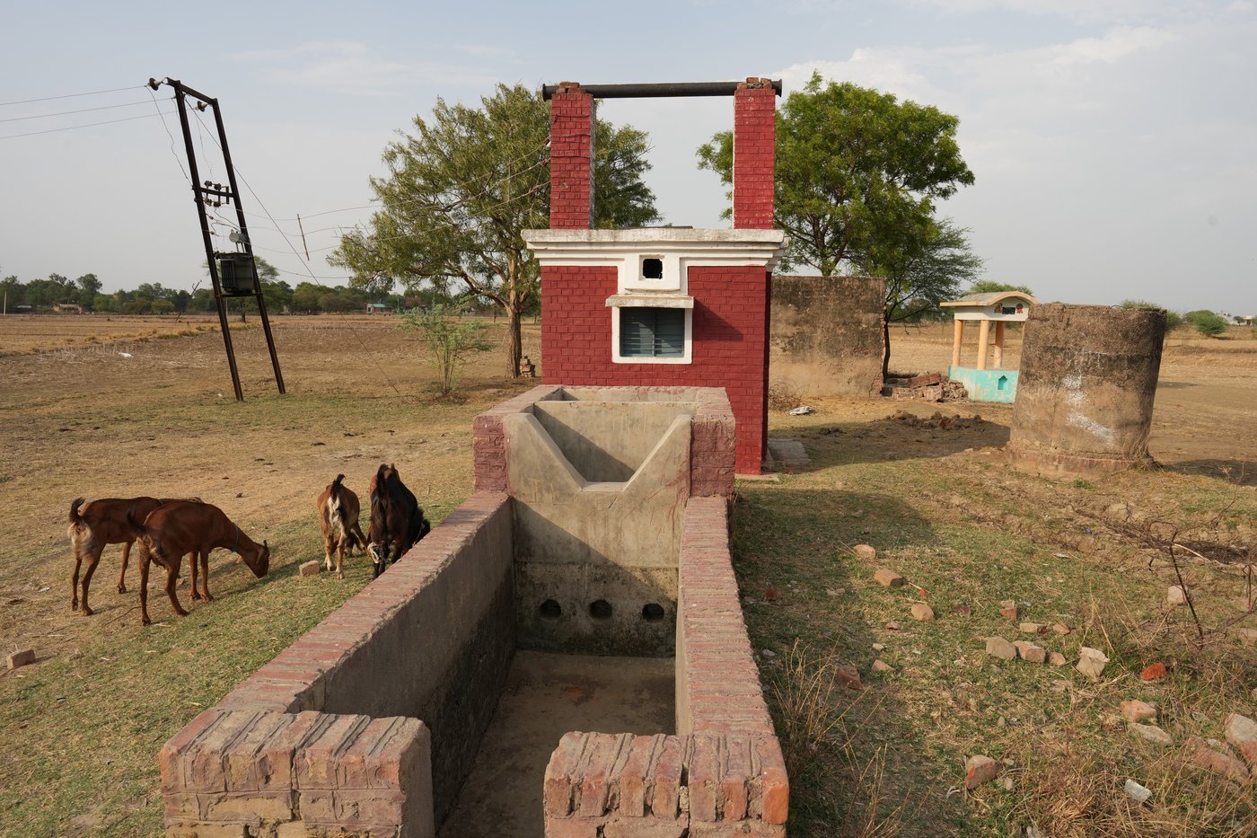 Delayed rains bring water shortages to cities and uncertainty to farms across India | iNFOnews.ca Delayed rains bring water shortages to cities and uncertainty to farms across India | iNFOnews.ca