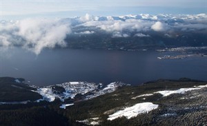 CP21451408