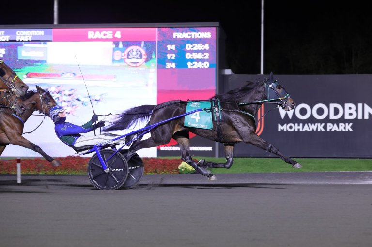 Yo Tillie caps dominant 2025 campaign with Breeders Crown victory | iNFOnews.ca Yo Tillie caps dominant 2025 campaign with Breeders Crown victory | iNFOnews.ca