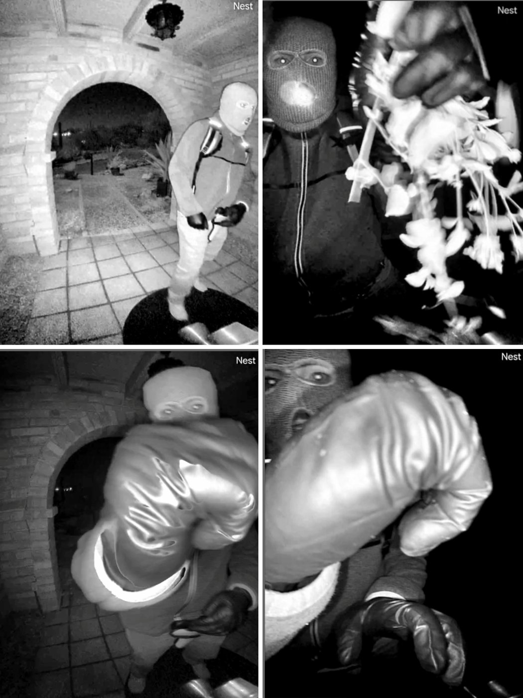 FBI releases first surveillance images of masked person on Nancy Guthrie's porch | iNFOnews.ca