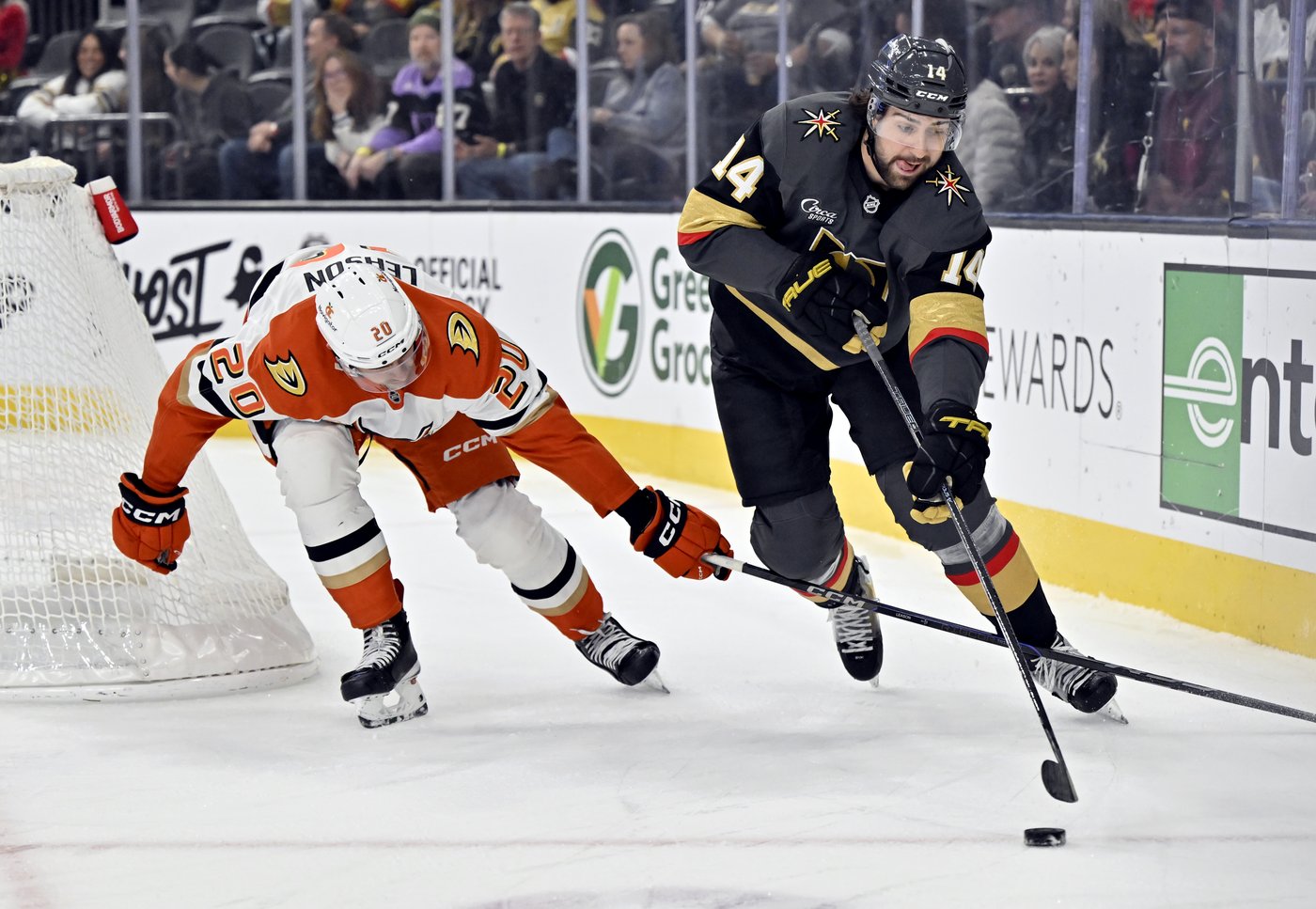 Hertl scores decisive goal as Golden Knights beat Ducks 3-1 | iNFOnews.ca