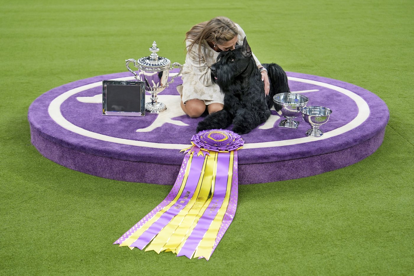 PHOTO COLLECTION: Westminster Dog Show | iNFOnews.ca