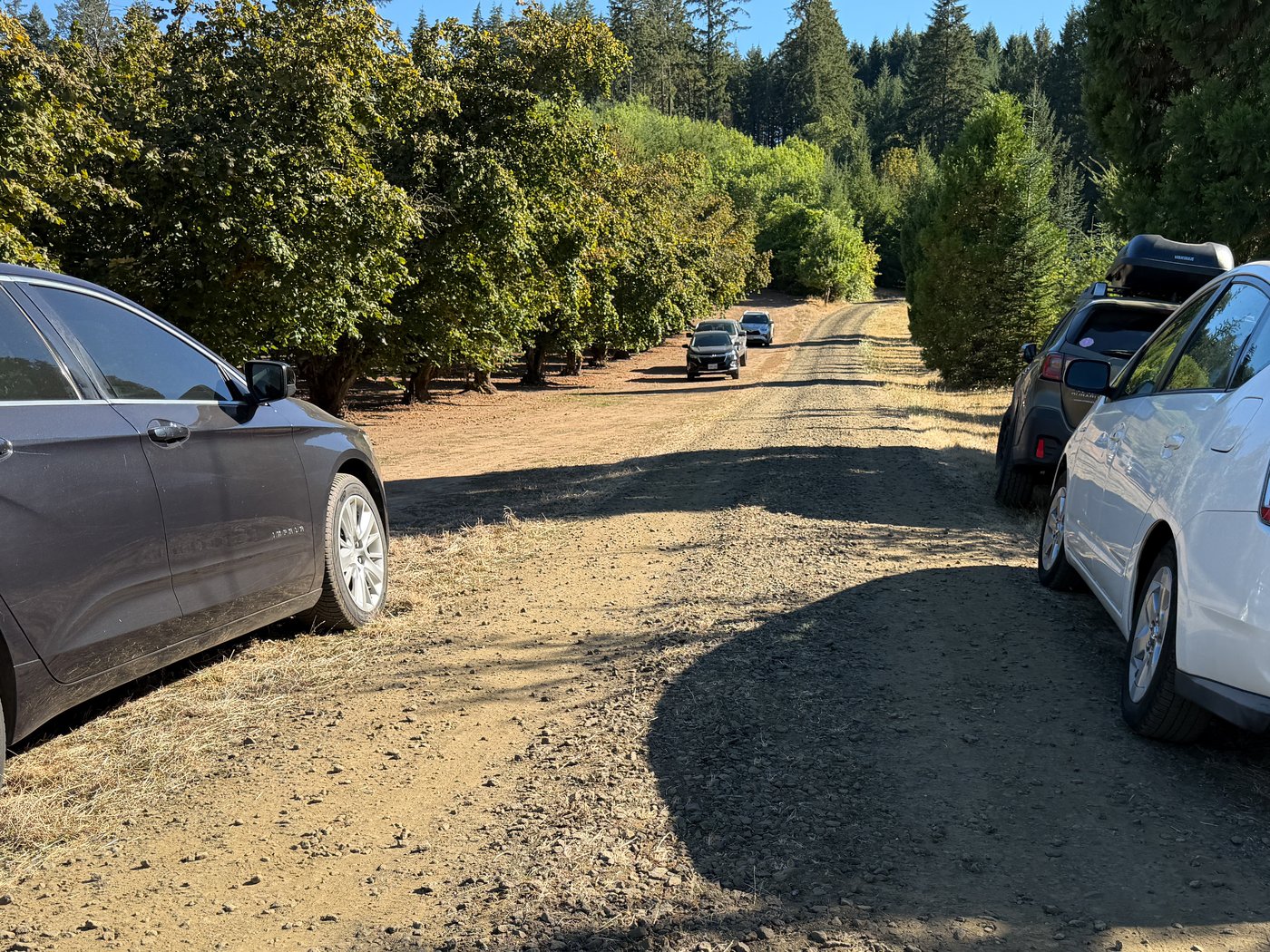 Victims of quintuple homicide in Oregon include suspect's girlfriend and her relatives | iNFOnews.ca