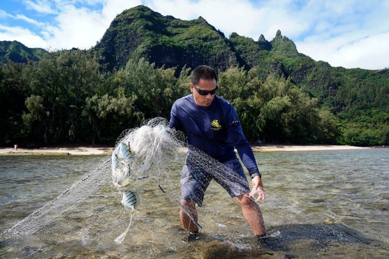 Community Control Of Kauaʻi Fishery In Hawaii Is Showing ‘Remarkable’ Results | iNFOnews.ca