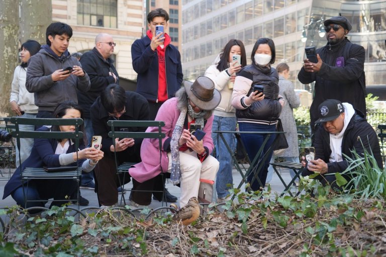 New Yorkers flock to Manhattan park for lovable woodcocks' bobbing strut | iNFOnews.ca