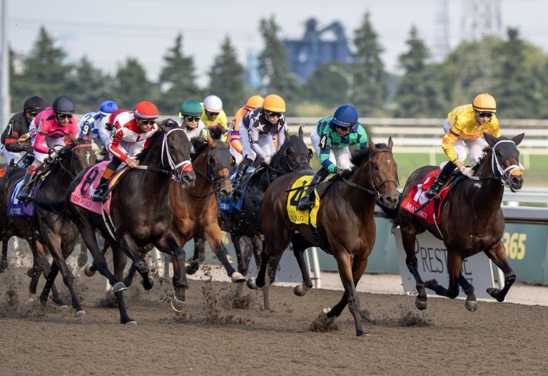 Luster installed as early even money favourite for $1-million King's Plate | iNFOnews.ca