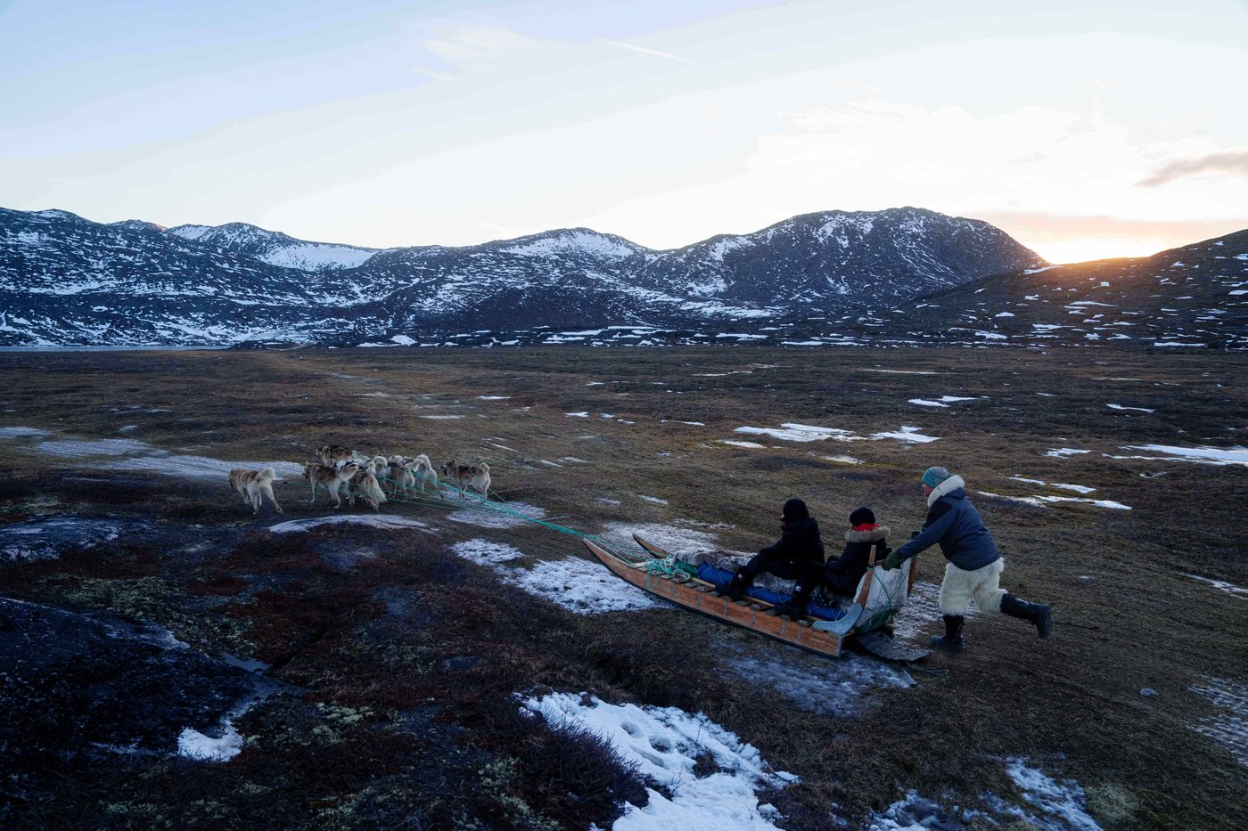 A lush knee-high jungle grows in the Arctic, but warming is changing Earth's mini-greenhouse | iNFOnews.ca