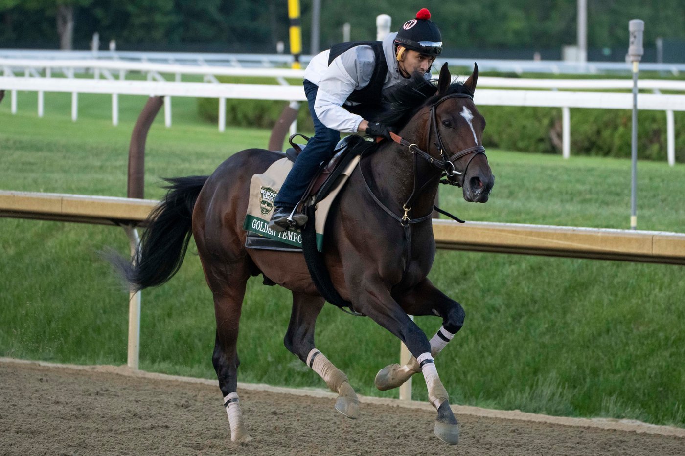 Kentucky Derby winner Golden Tempo faces a pace challenge in the Belmont Stakes | iNFOnews.ca
