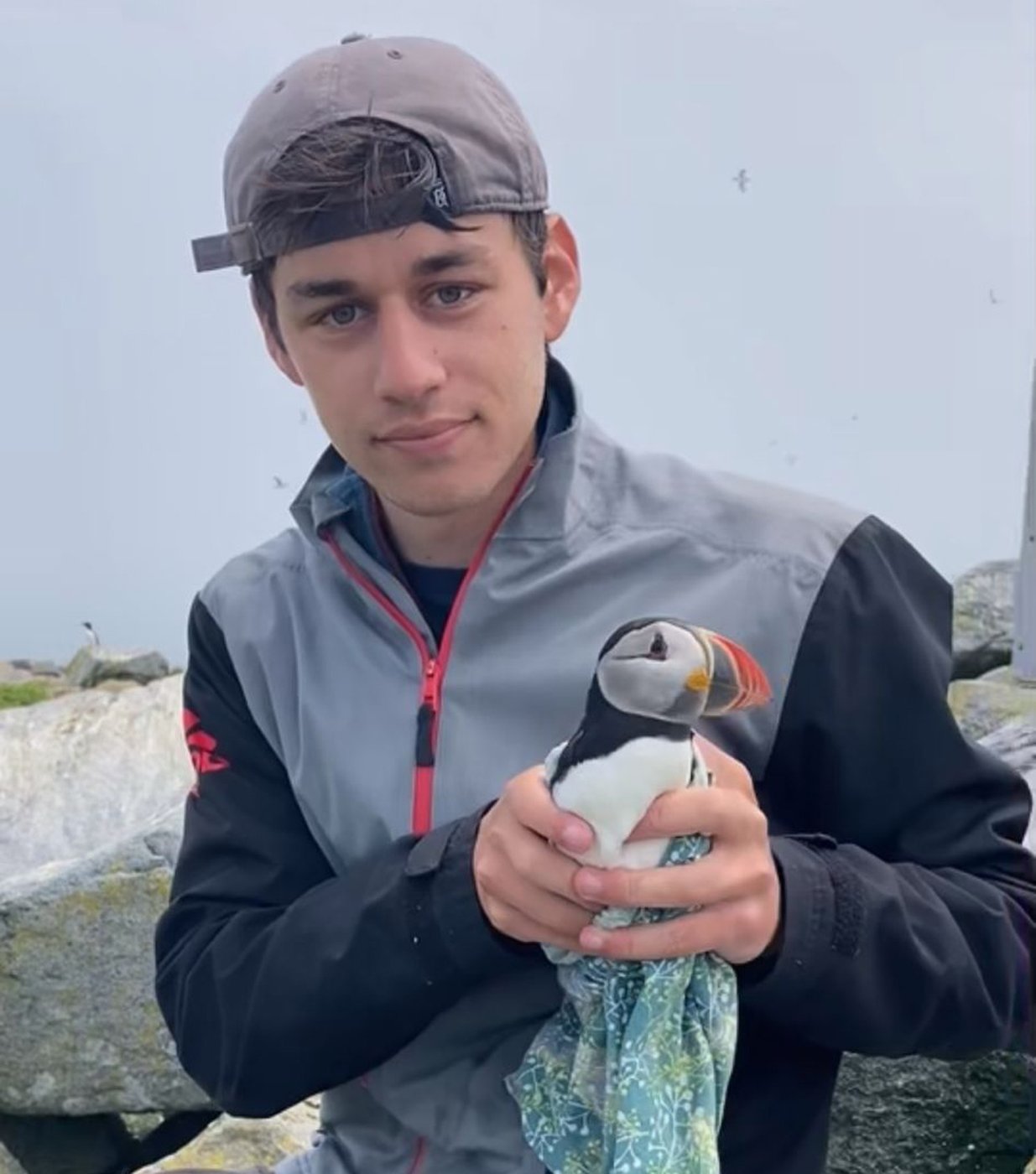 Hey old bird: A 33-year-old puffin on New Brunswick island going strong, with a chick | iNFOnews.ca Hey old bird: A 33-year-old puffin on New Brunswick island going strong, with a chick | iNFOnews.ca
