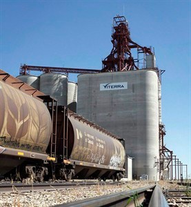 CP31651075