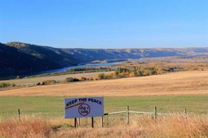 CP28295238