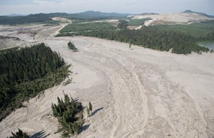 CP29410780