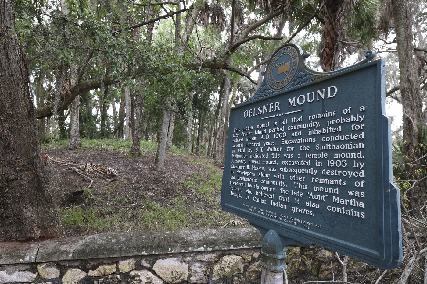 As Milton takes aim at Florida, why is Tampa Bay so vulnerable to hurricanes? | iNFOnews.ca