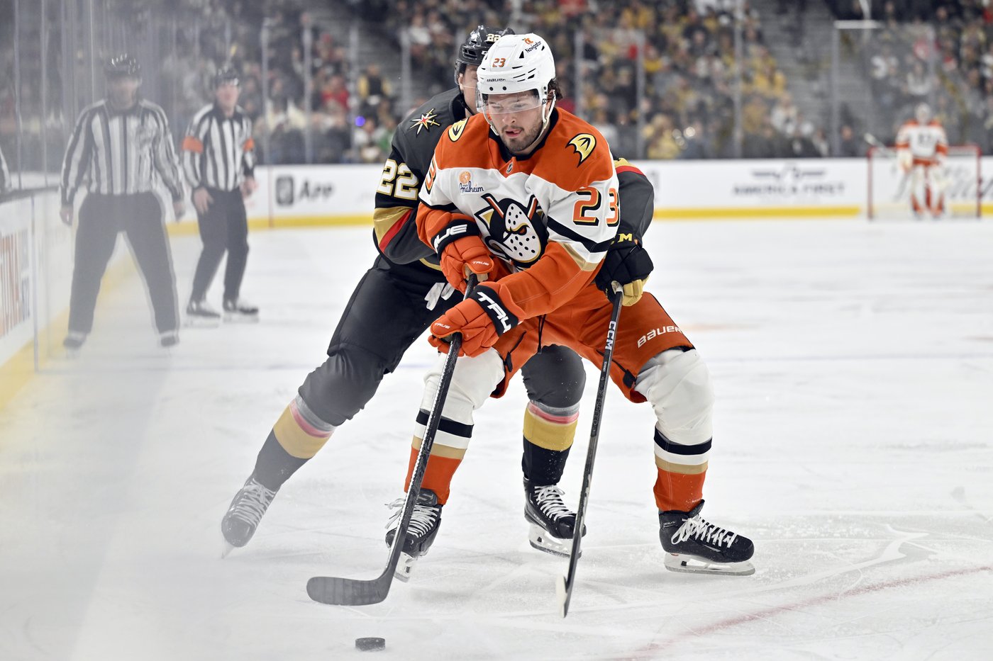 Hertl scores decisive goal as Golden Knights beat Ducks 3-1 | iNFOnews.ca