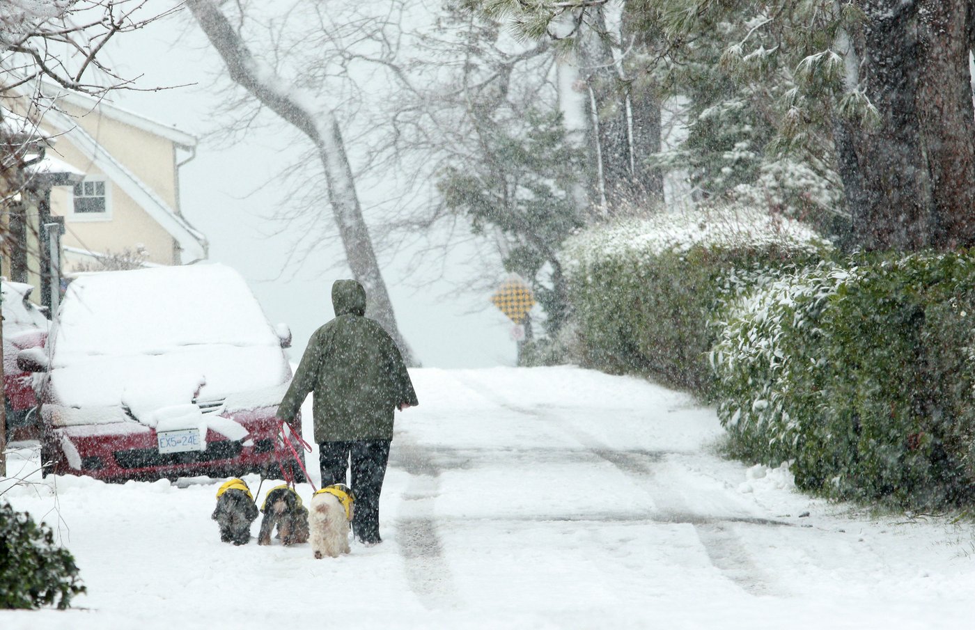 Frigid weather persists in British Columbia as low temperature records broken | iNFOnews.ca