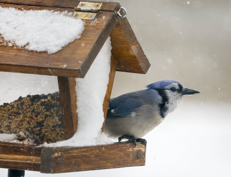 About 20 weather warnings in effect across Canada as rain, snow, cold hammer country | iNFOnews.ca