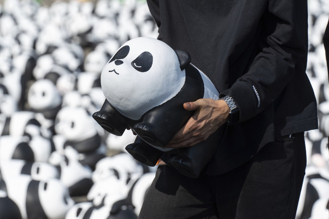 PHOTO COLLECTION: Hong Kong Panda | iNFOnews.ca PHOTO COLLECTION: Hong Kong Panda | iNFOnews.ca