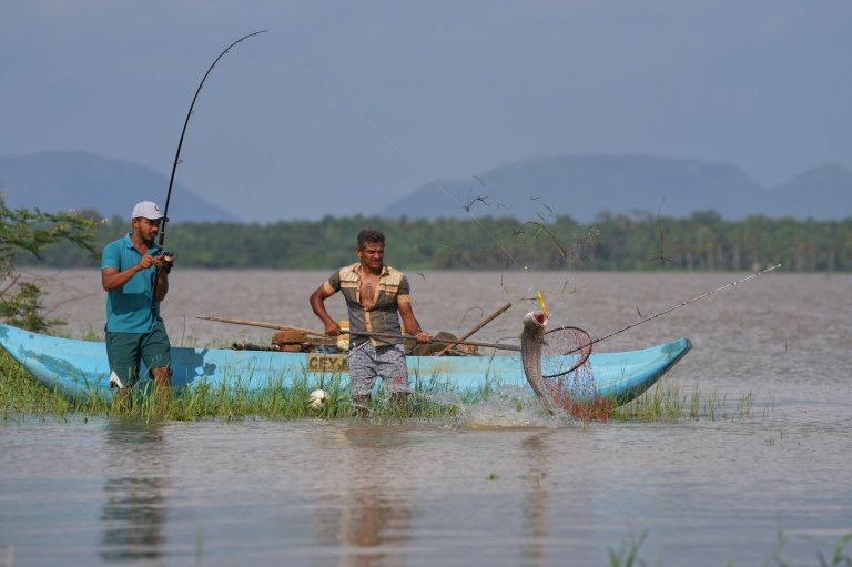Sri Lankan freshwater fishers keen to turn invasive species threat into an opportunity | iNFOnews.ca