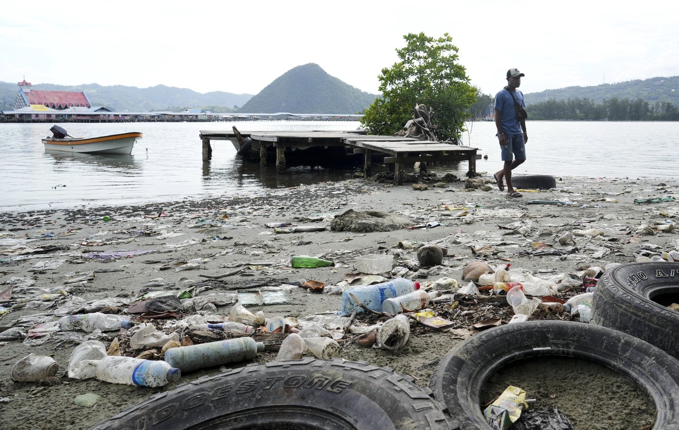 Papuan women's mangrove forest in Indonesia is increasingly threatened by development and pollution | iNFOnews.ca Papuan women's mangrove forest in Indonesia is increasingly threatened by development and pollution | iNFOnews.ca