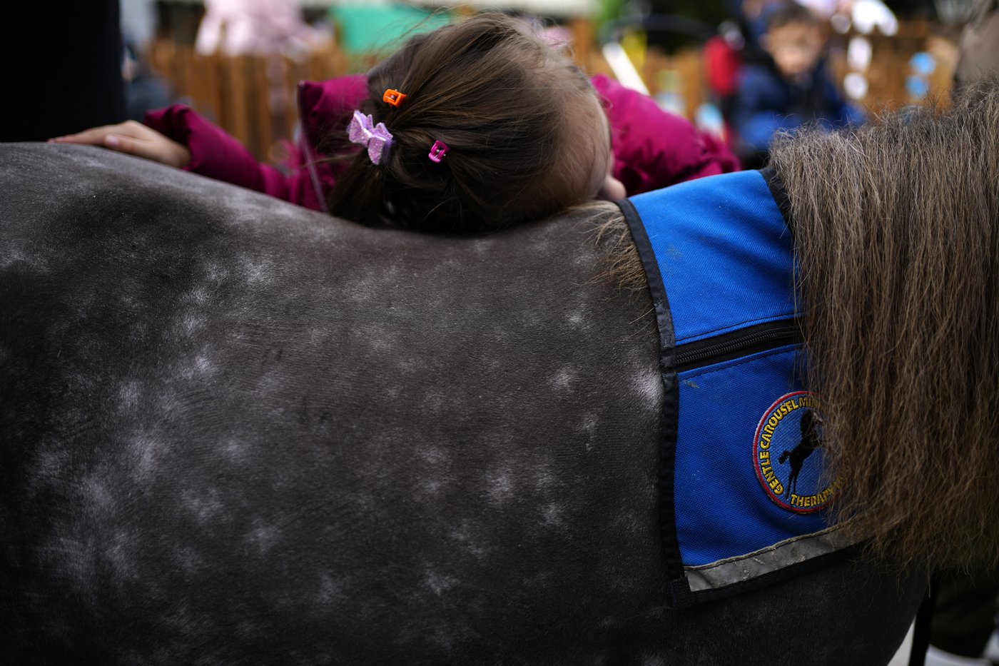 Greece's only miniature therapy horses bring joy to many, but their charity is struggling | iNFOnews.ca