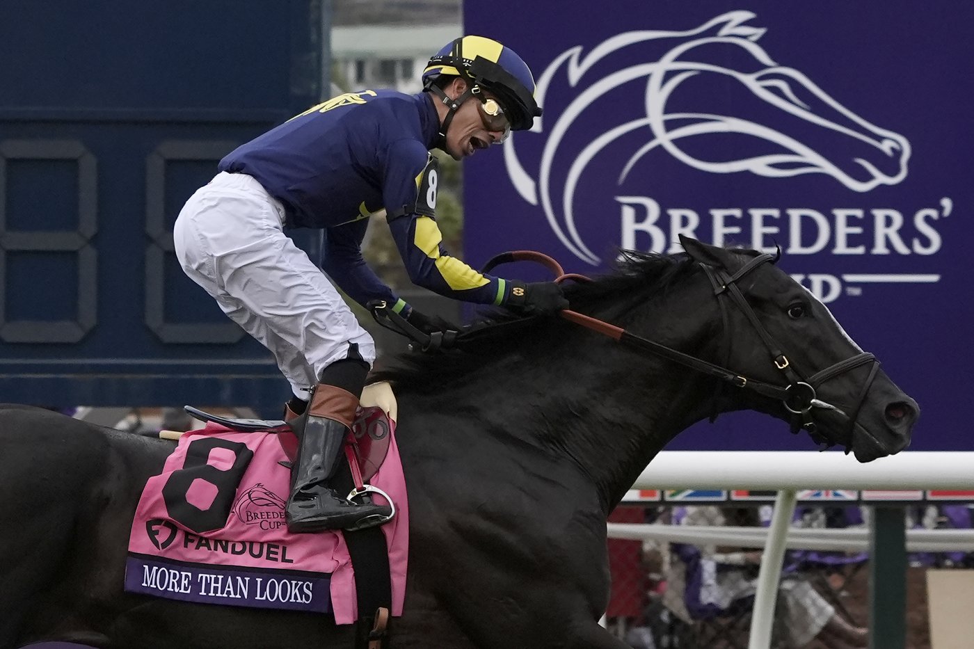 Sierra Leone wins $7 million Breeders' Cup Classic after suffering close loss in Kentucky Derby | iNFOnews.ca Sierra Leone wins $7 million Breeders' Cup Classic after suffering close loss in Kentucky Derby | iNFOnews.ca