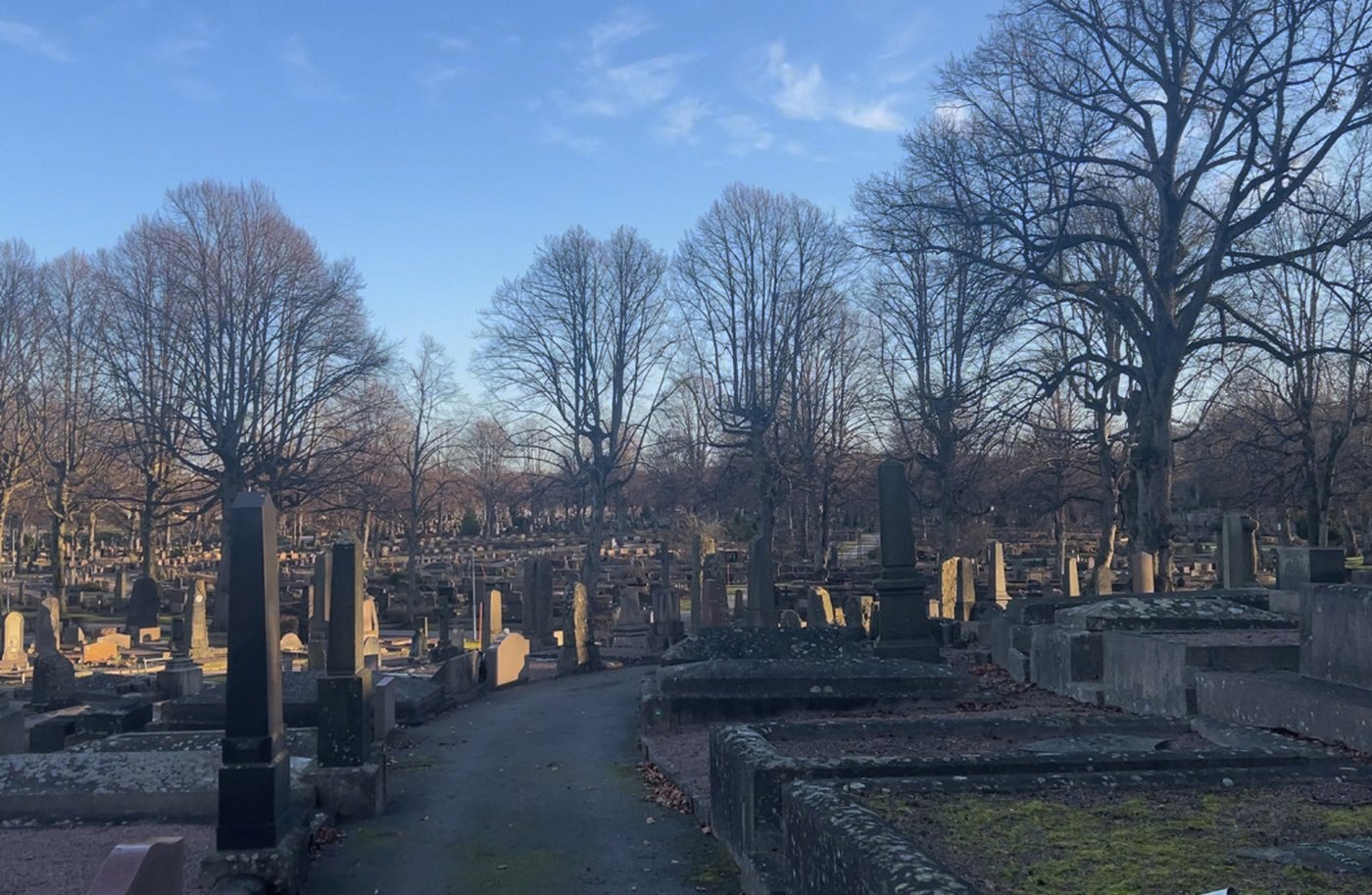 Sweden embarks on a sober search for more cemetery space in case of war | iNFOnews.ca