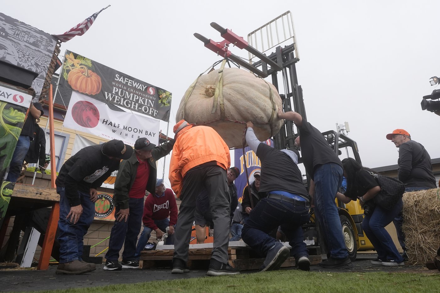 Pumpkin weighing 2,471 pounds wins California contest | iNFOnews.ca