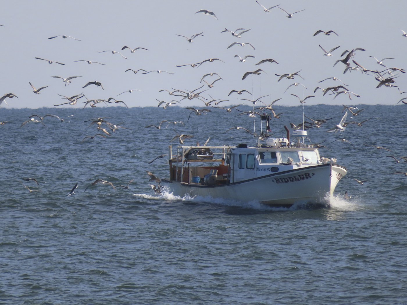 Flood gates are dropped from a plan to protect the Jersey Shore's back bays from catastrophic storms | iNFOnews.ca