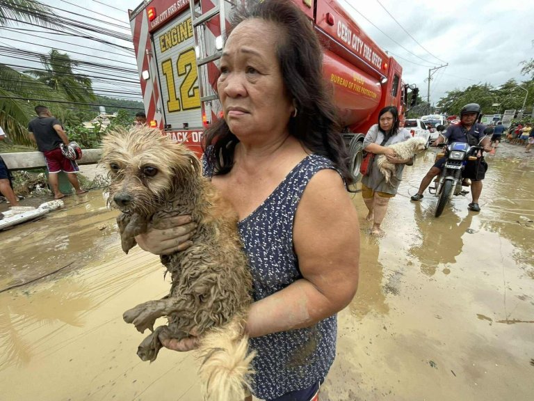 Photos show the impact of Typhoon Kalmaegi on the Philippines | iNFOnews.ca Photos show the impact of Typhoon Kalmaegi on the Philippines | iNFOnews.ca