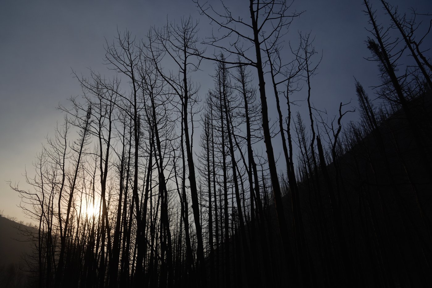 Dry, windy conditions fuel explosive wildfire growth across western US | iNFOnews.ca