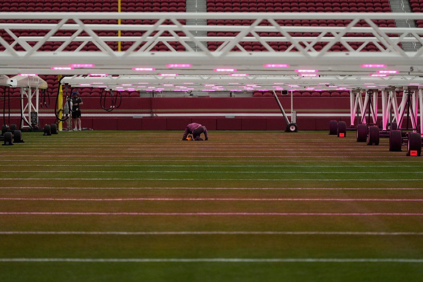 NFL's turf guru has meticulous journey to prepare Levi's Stadium field for Super Bowl | iNFOnews.ca NFL's turf guru has meticulous journey to prepare Levi's Stadium field for Super Bowl | iNFOnews.ca