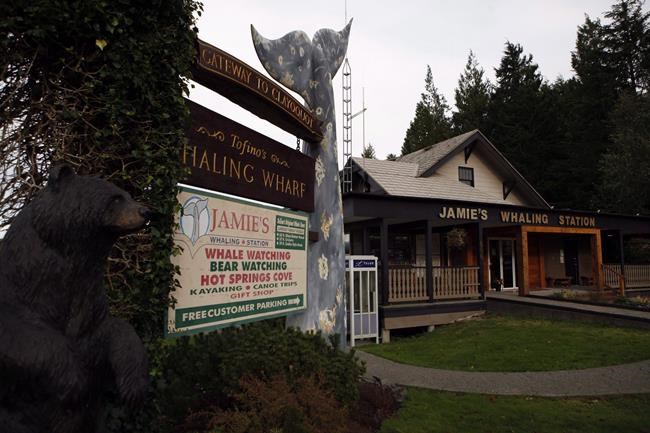 Boat owned by Jamie's Whaling Station runs aground near Tofino, B.C. | iNFOnews.ca