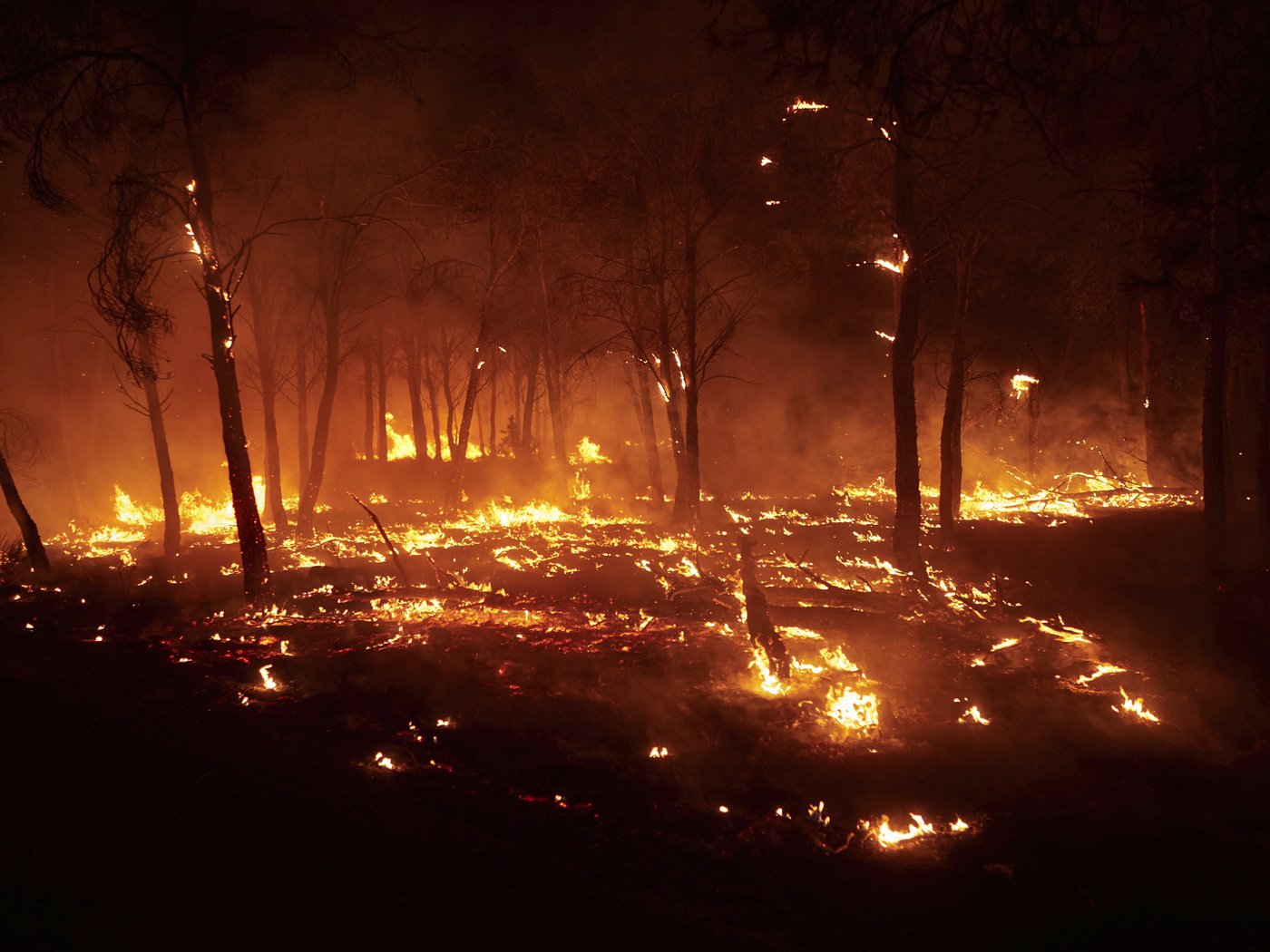 Parts of Europe burn as millions are facing record heat | iNFOnews.ca