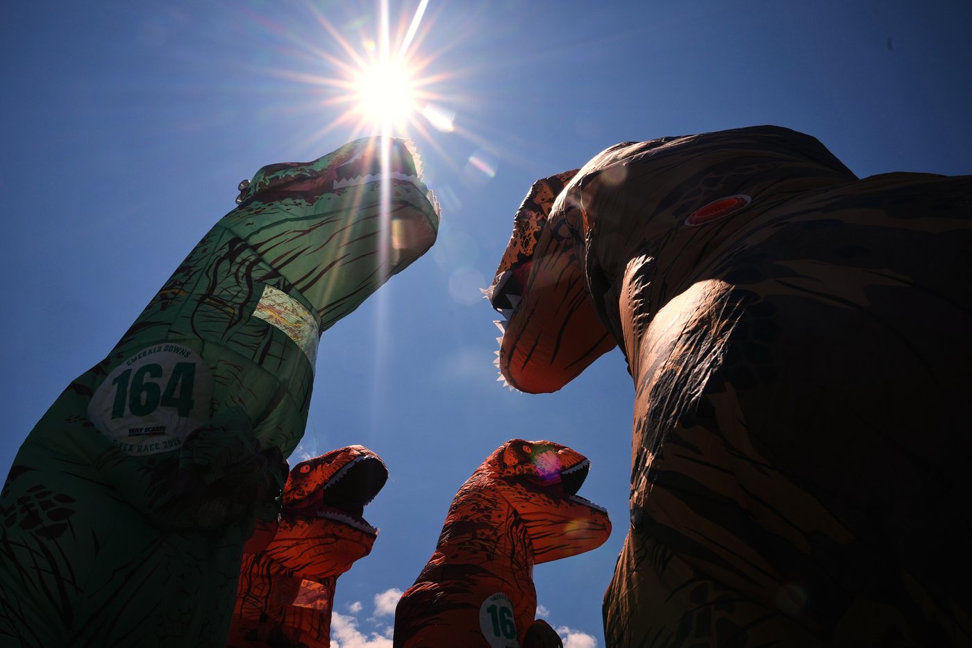 Inflatable dinosaurs race at Emerald Downs, in photos | iNFOnews.ca
