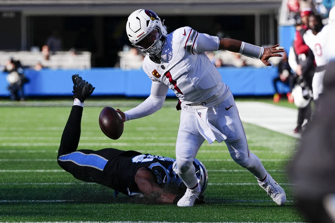 Cardinals fall short of playoffs for 3rd straight season with loss to lowly Panthers | iNFOnews.ca