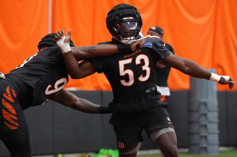 New experienced, vocal leaders are setting a tone for the Bengals defense | iNFOnews.ca