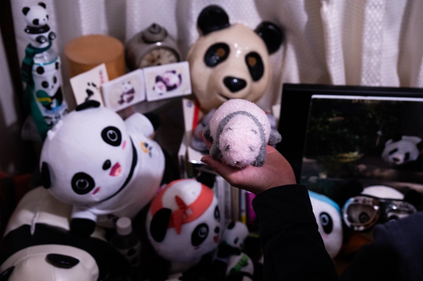 Photos shows Japan's love of pandas as twins Xiao Xiao and Lei Lei return to China | iNFOnews.ca