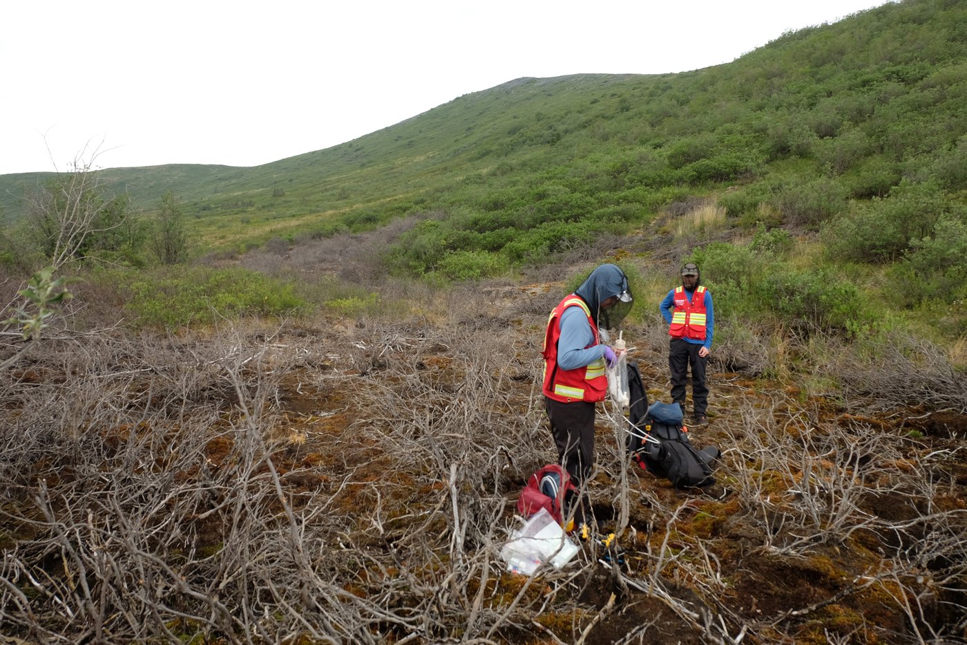 As permafrost thaws, some headwaters in Canada's North turn orange and toxic: study | iNFOnews.ca As permafrost thaws, some headwaters in Canada's North turn orange and toxic: study | iNFOnews.ca
