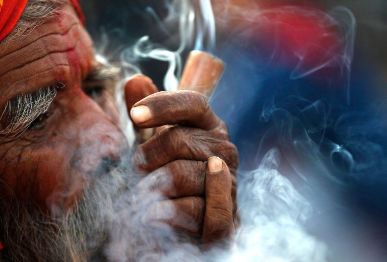 Nepal’s Gandaki province legalizes medical cannabis farming and use | iNFOnews.ca