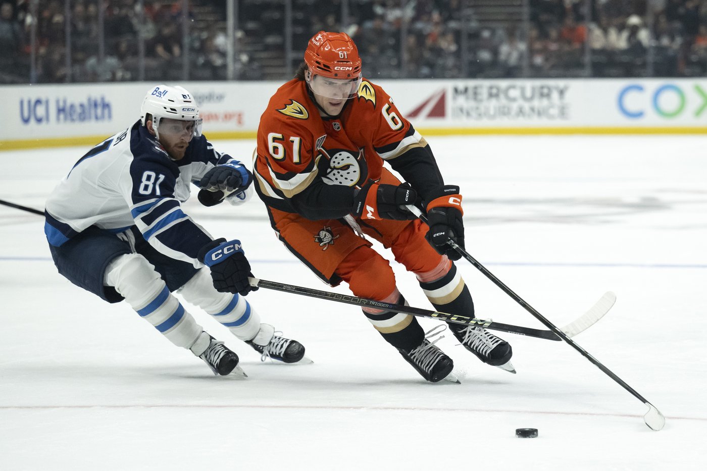 Troy Terry gets last-minute winner, Ducks' late rally stuns NHL-best Winnipeg 3-2 | iNFOnews.ca Troy Terry gets last-minute winner, Ducks' late rally stuns NHL-best Winnipeg 3-2 | iNFOnews.ca
