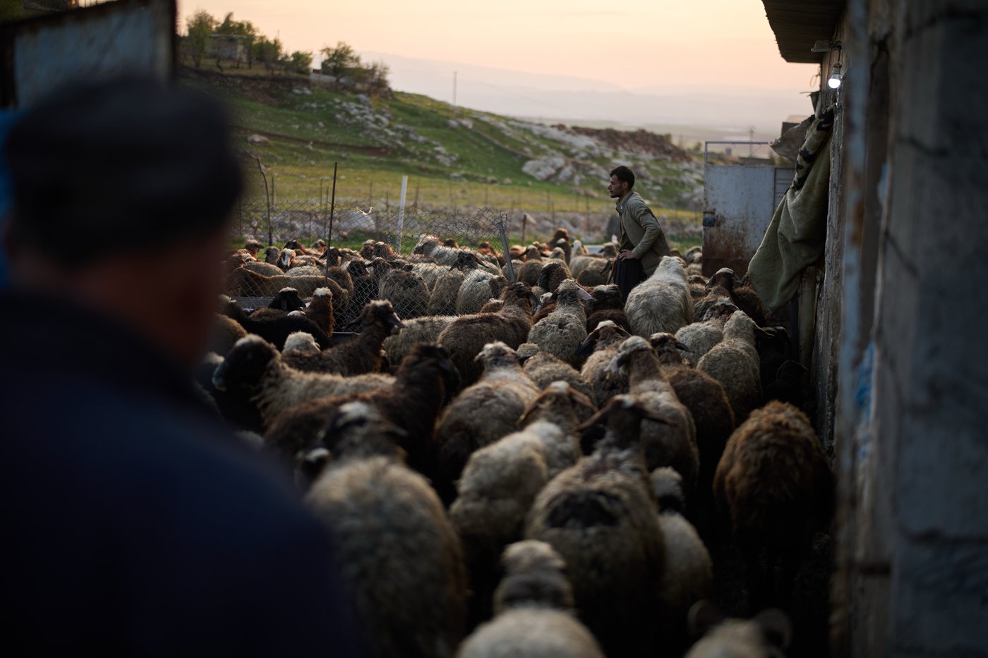 Tradition and worry at an iftar gathering near the Iran-Iraq border in photos | iNFOnews.ca