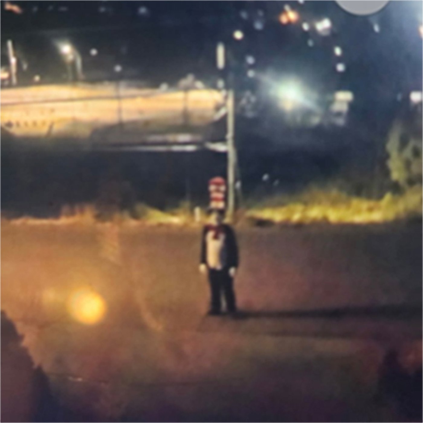 Cat in the Hat that chased B.C. teenage girl appears part of viral social media trend