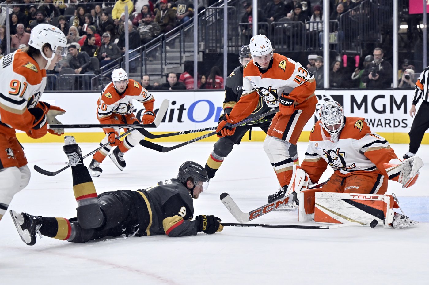 Hertl scores decisive goal as Golden Knights beat Ducks 3-1 | iNFOnews.ca