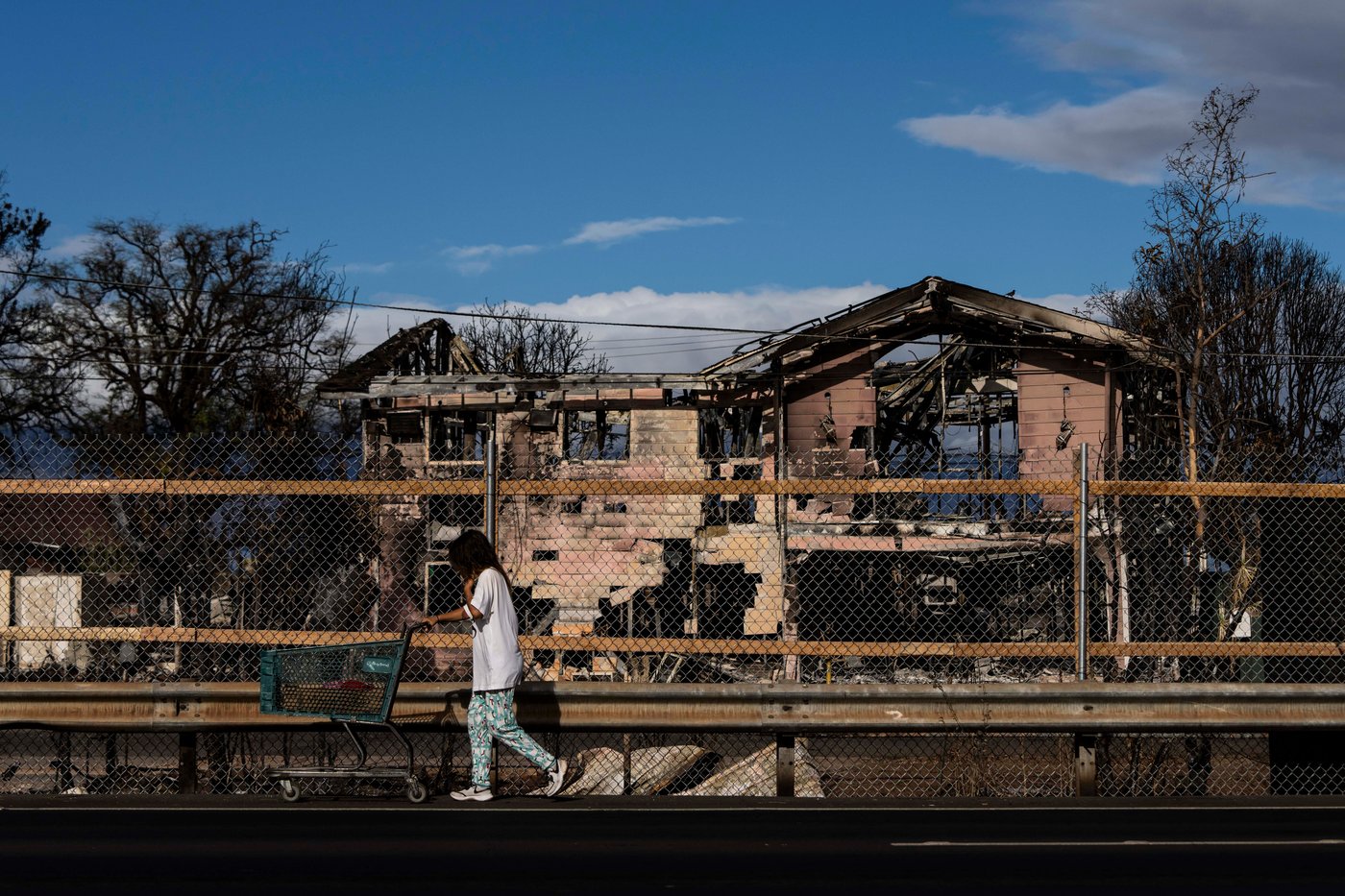 Residents near Maui wildfires show elevated metals linked to impacted lung health, study says | iNhome