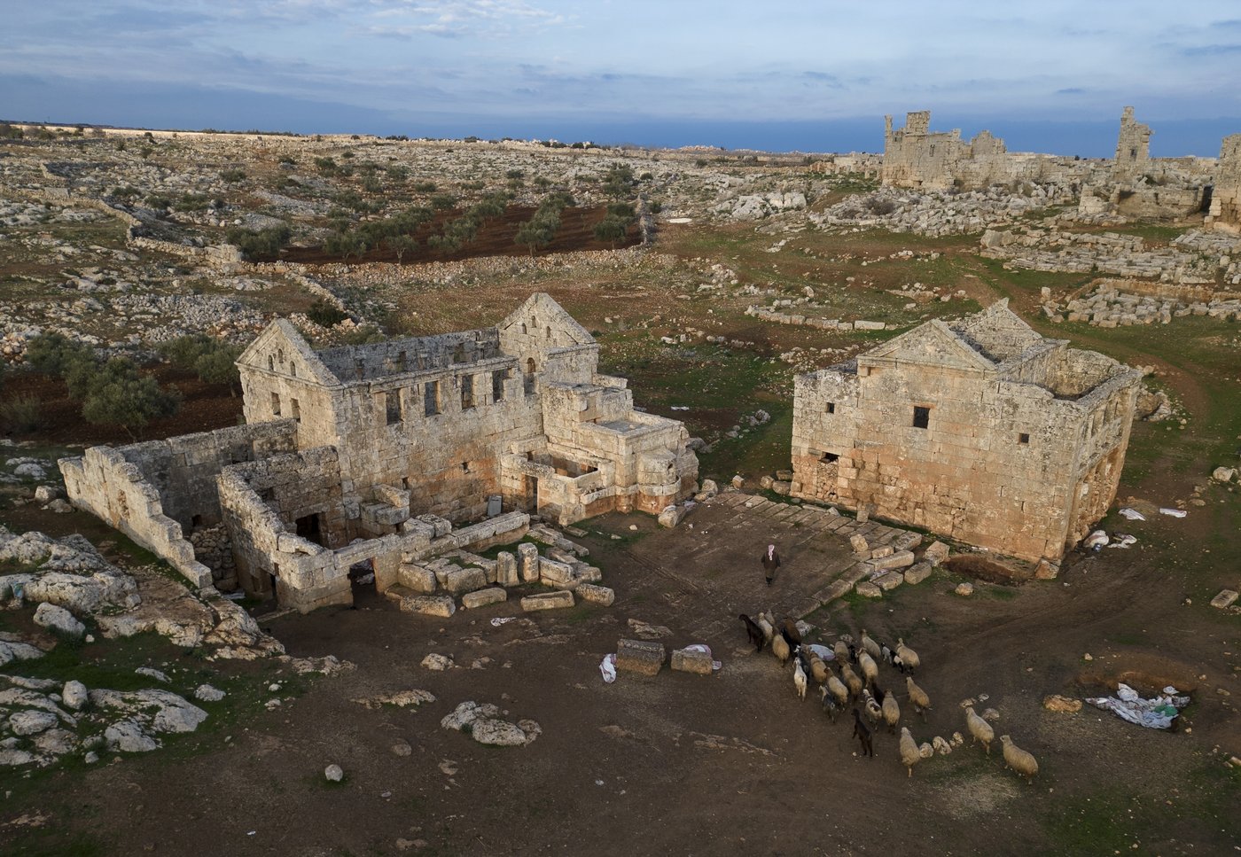 Experts push to restore Syria’s war-torn heritage sites, including renowned Roman ruins at Palmyra | iNFOnews.ca Experts push to restore Syria’s war-torn heritage sites, including renowned Roman ruins at Palmyra | iNFOnews.ca