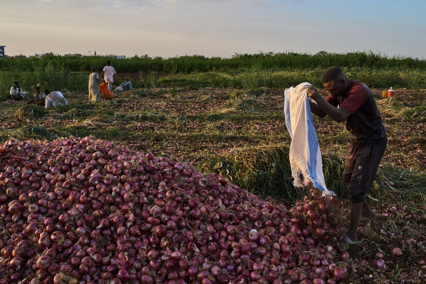 Photos of daily life in Sudan as war enters its fourth year | iNFOnews.ca